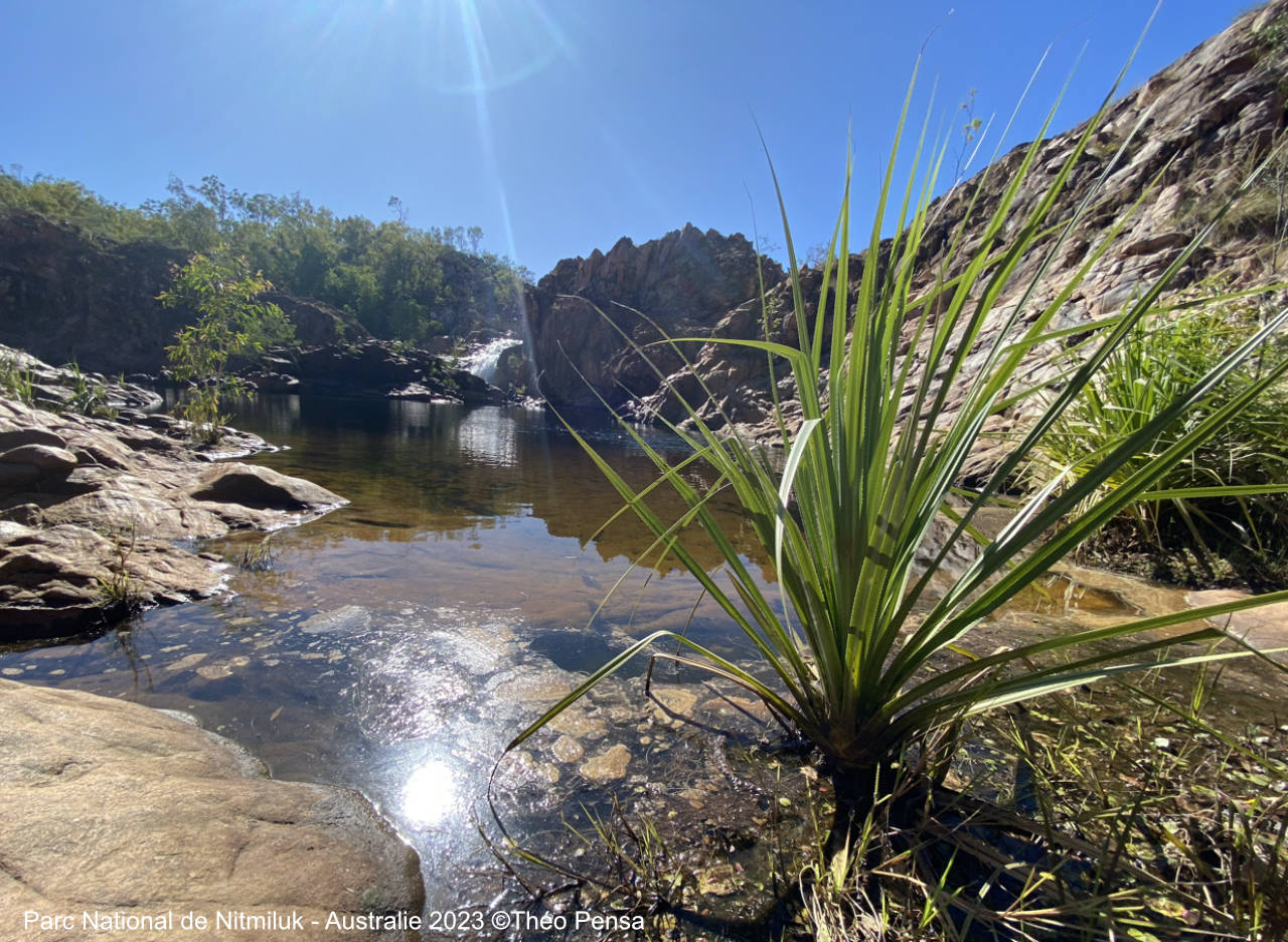 Parc National de Nitmiluk - Australie 2023 ©Théo Pensa