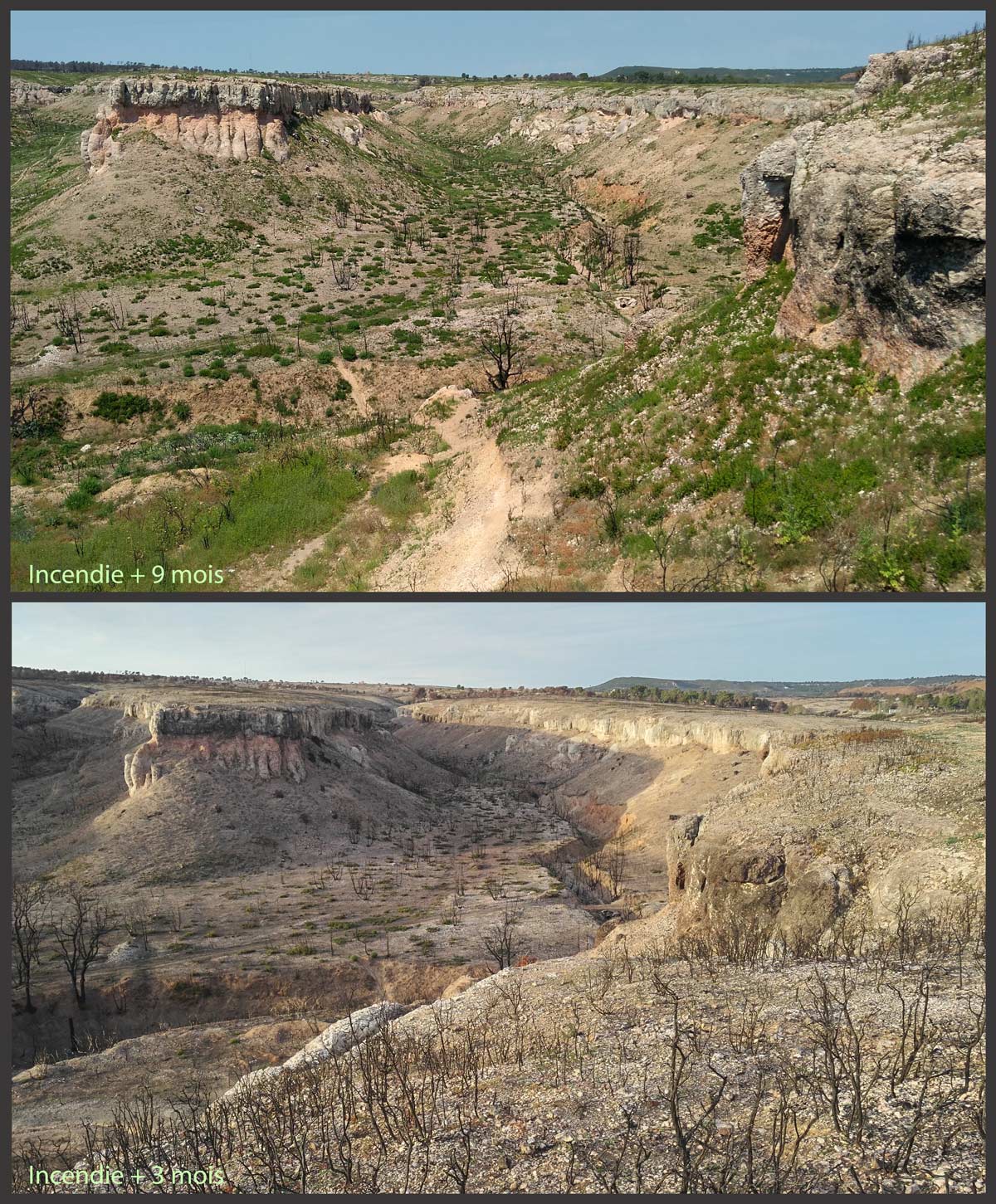 Évolution du paysage en 6 mois