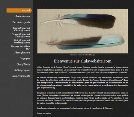 alulawebsite.com