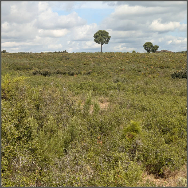 paysage 9 ans plus tard