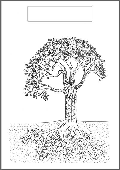 Outils pédagogiques sur le thème de l'arbre à travers les saisons